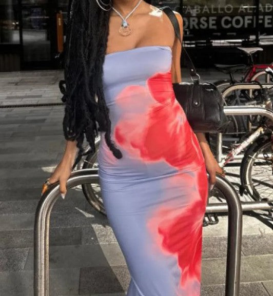 Isabella Tube Dress