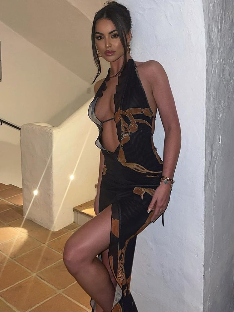 Alacrán Dress